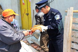 清浦分局鹽河派出所 貼心服務送上門，為養殖戶筑牢防疫屏障