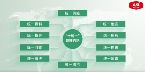 大成食品韋俊賢 以高質(zhì)量發(fā)展為引領(lǐng)，筑牢產(chǎn)品品質(zhì)與服務(wù)根基